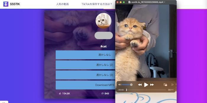 ssstiktok 保存