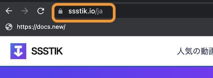 ssstiktok 安全性