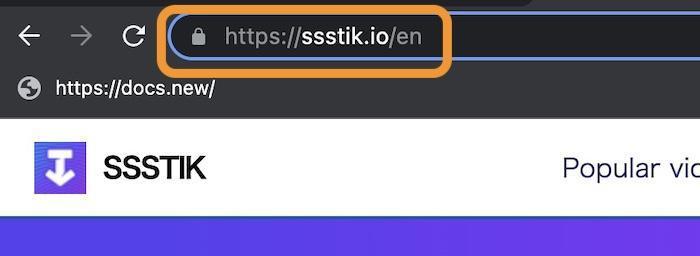 ssstiktok 安全性