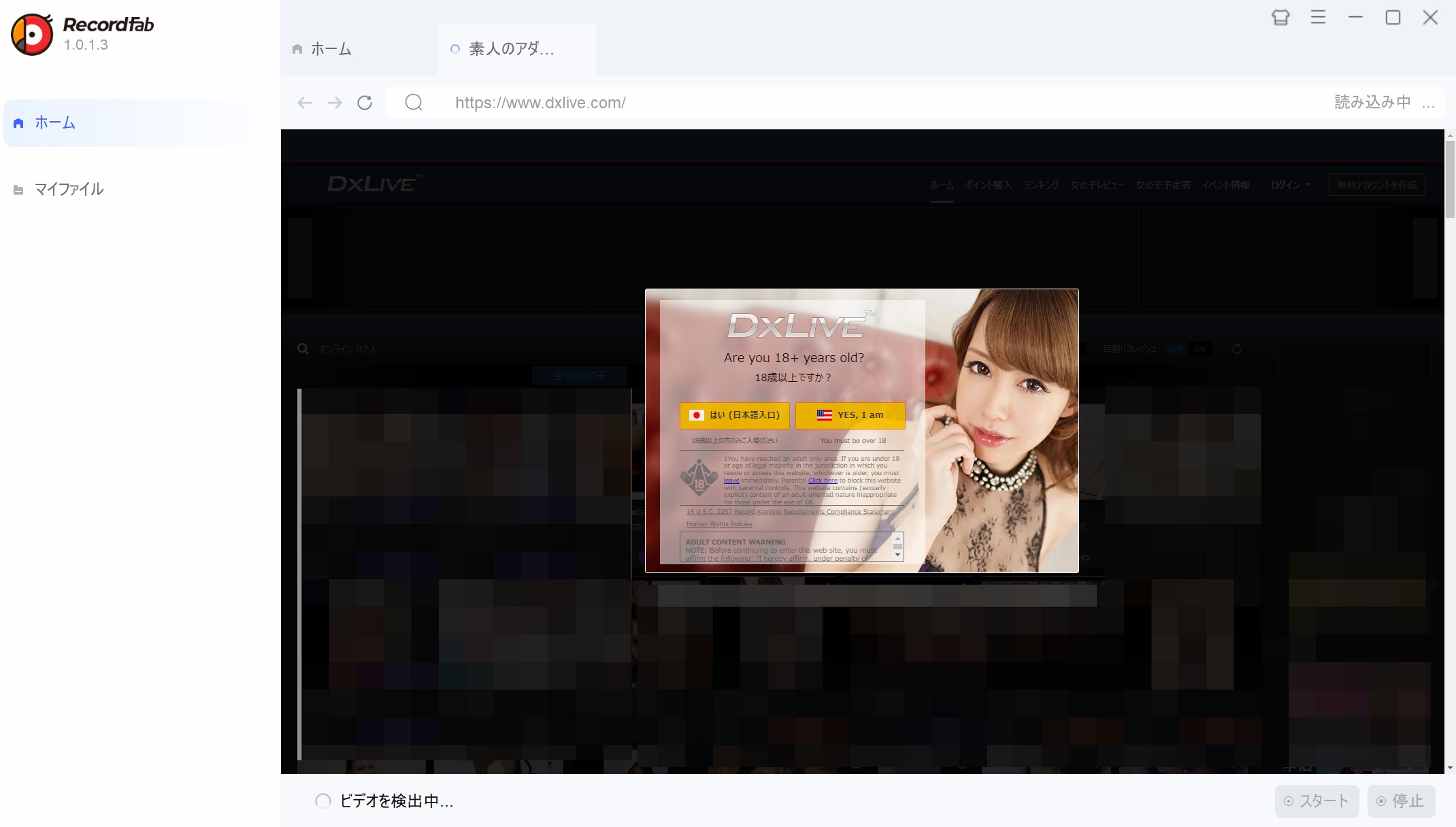 RecordFabでアクセス