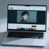 動画サイト9tsuでバラエティーや動画を無料で永久保存する方法