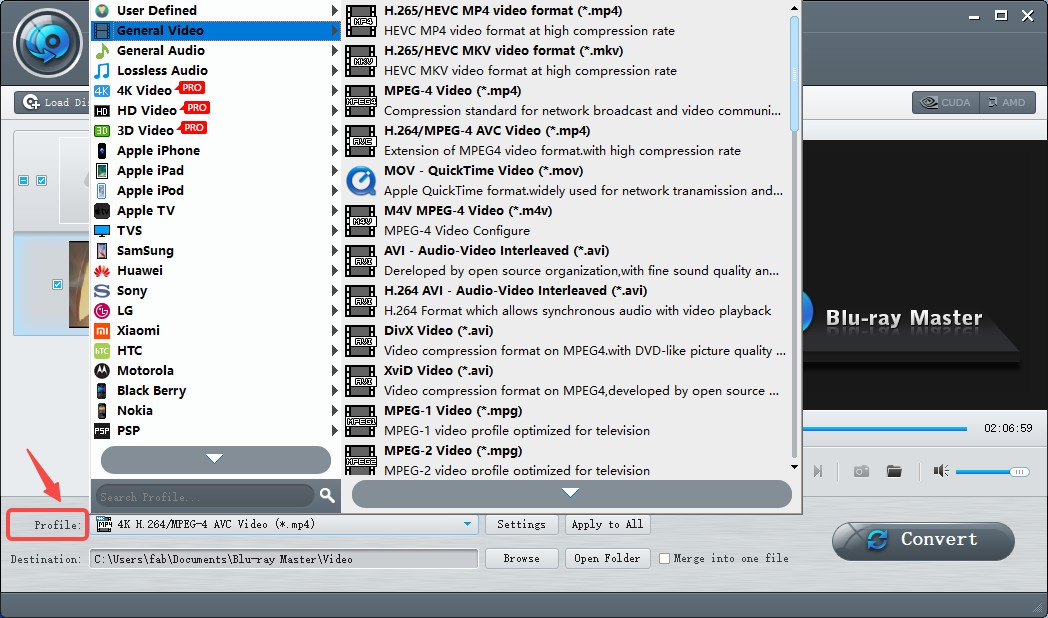 Choosing output format in Blu-ray Master