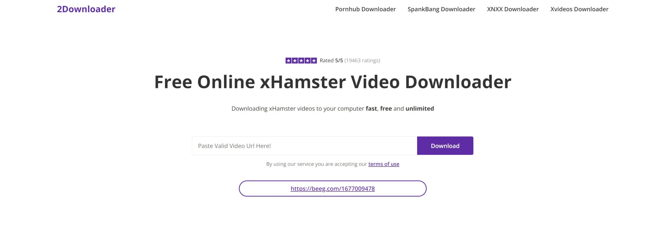 2Downloader's minimalist web interface