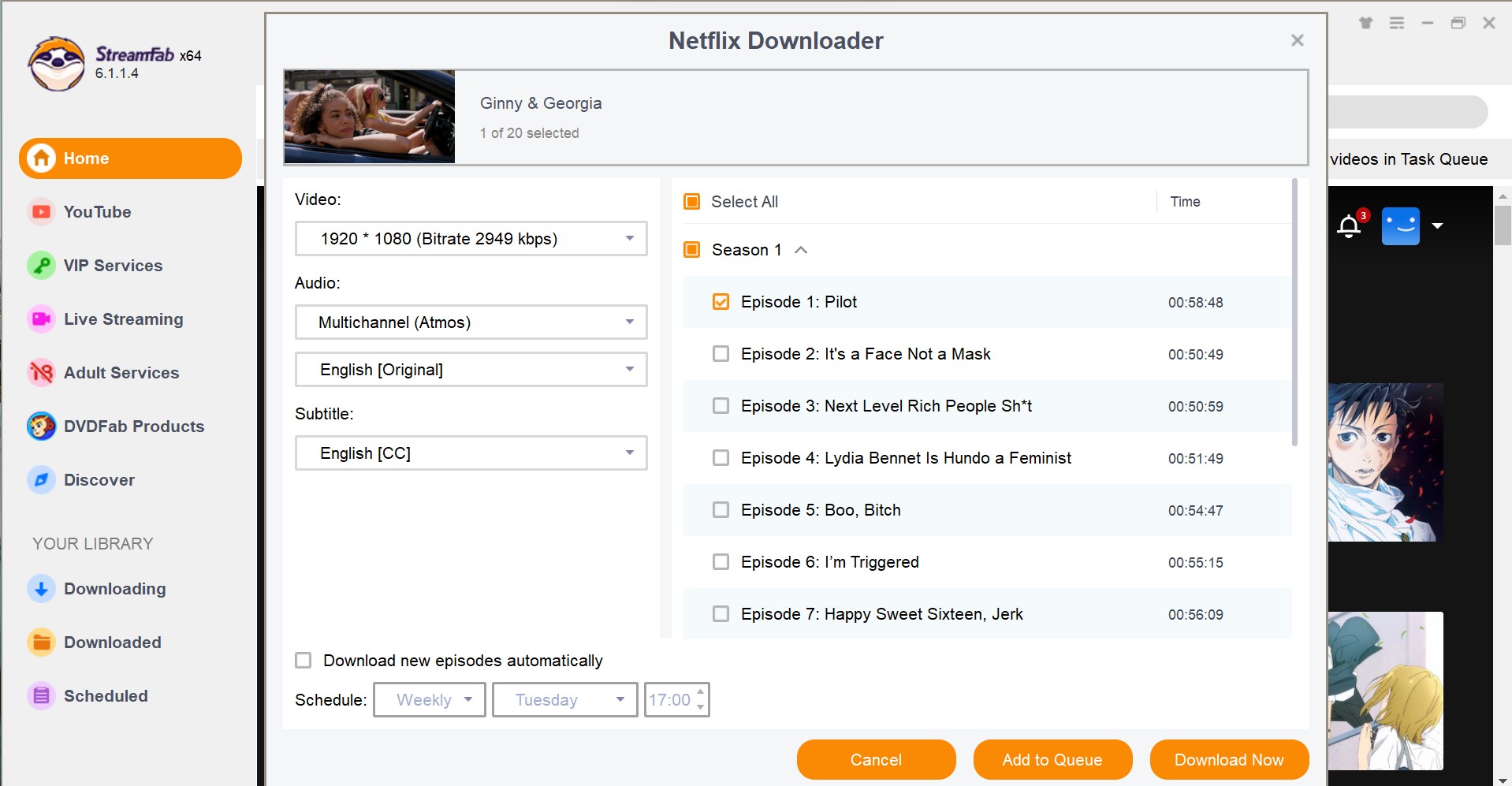 Customization options in StreamFab