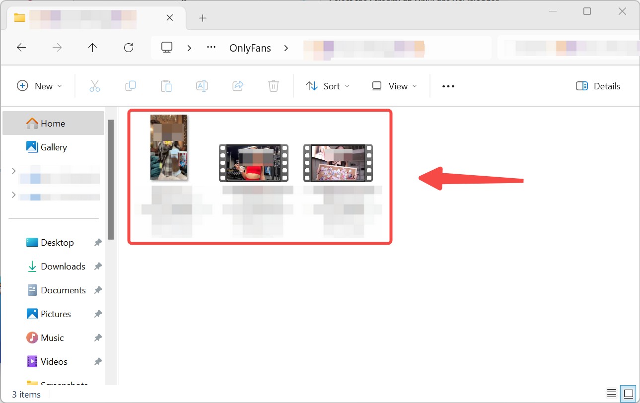 StreamFab Downloaded Files on PC