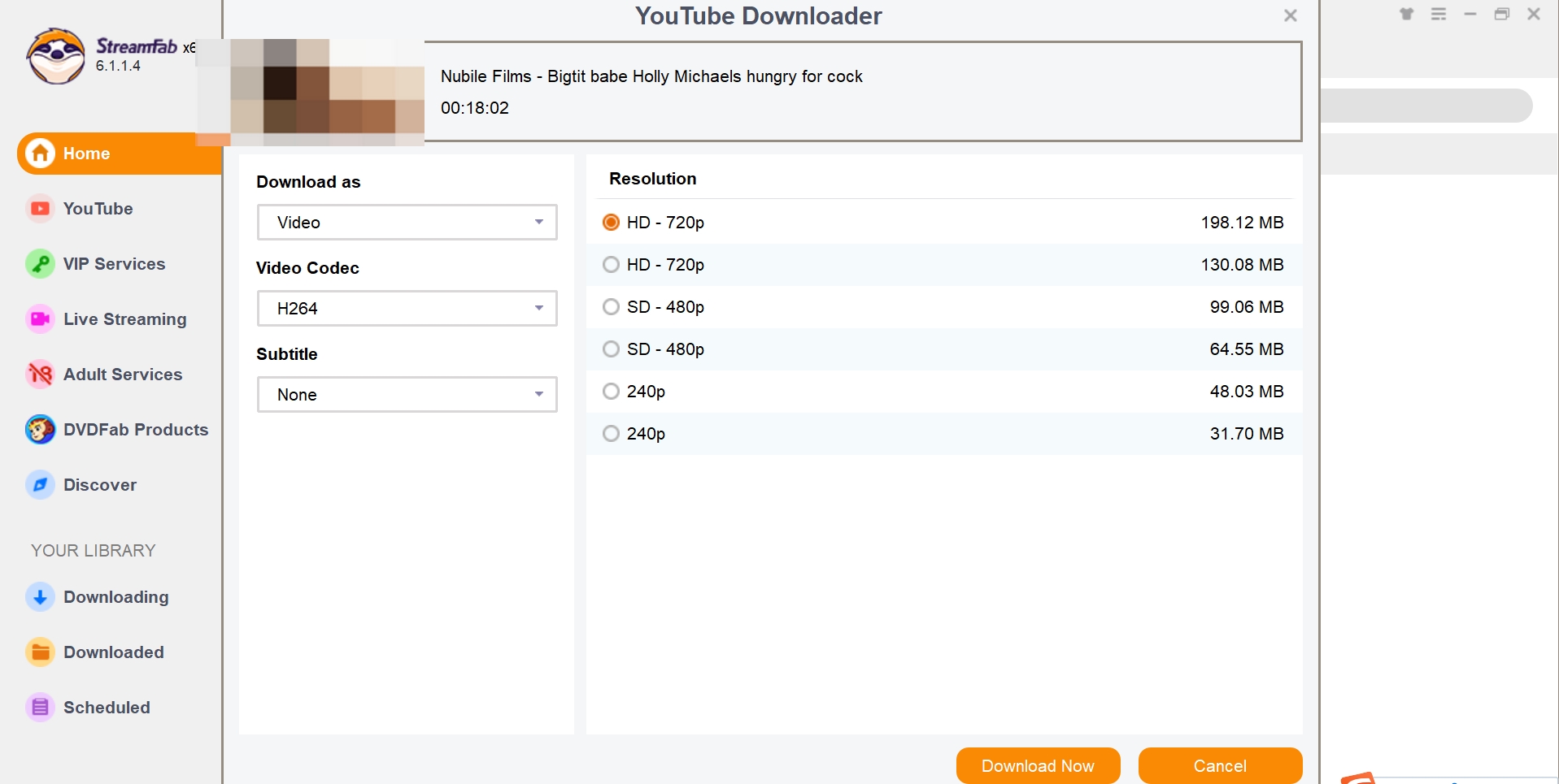 StreamFab download options popup for quality and format