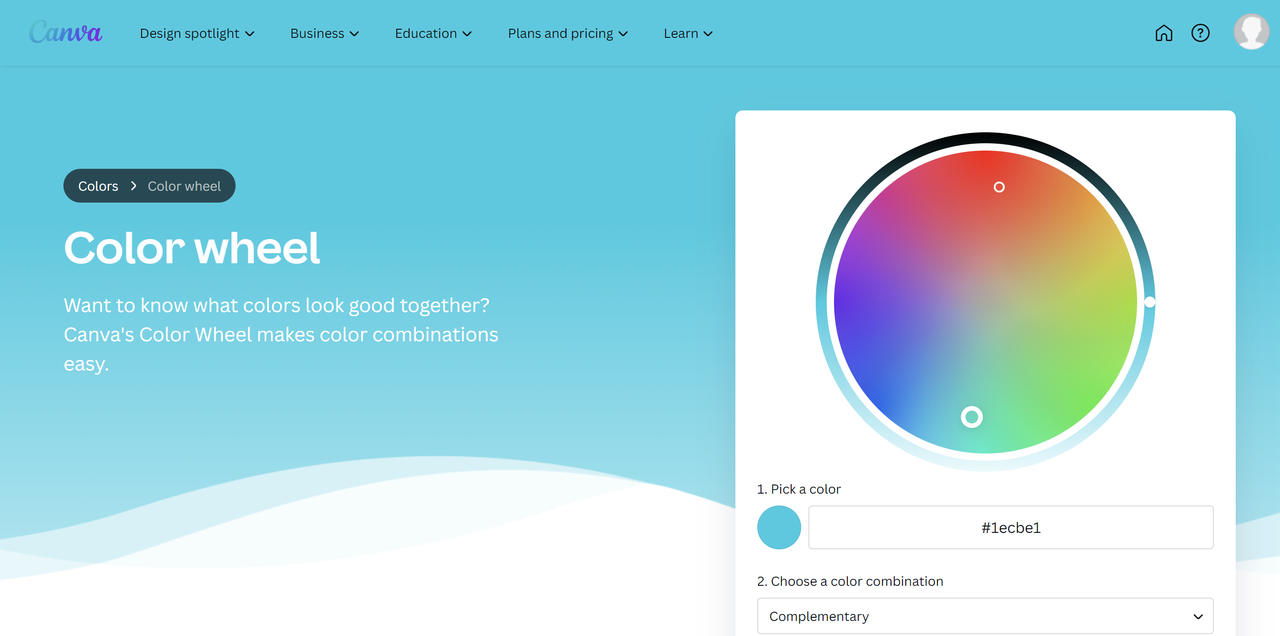 Interface showcasing Canva color wheel