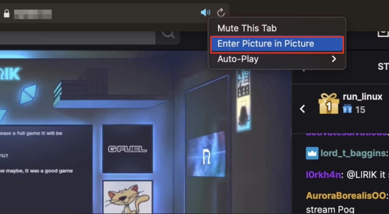 Activating pip in Safari