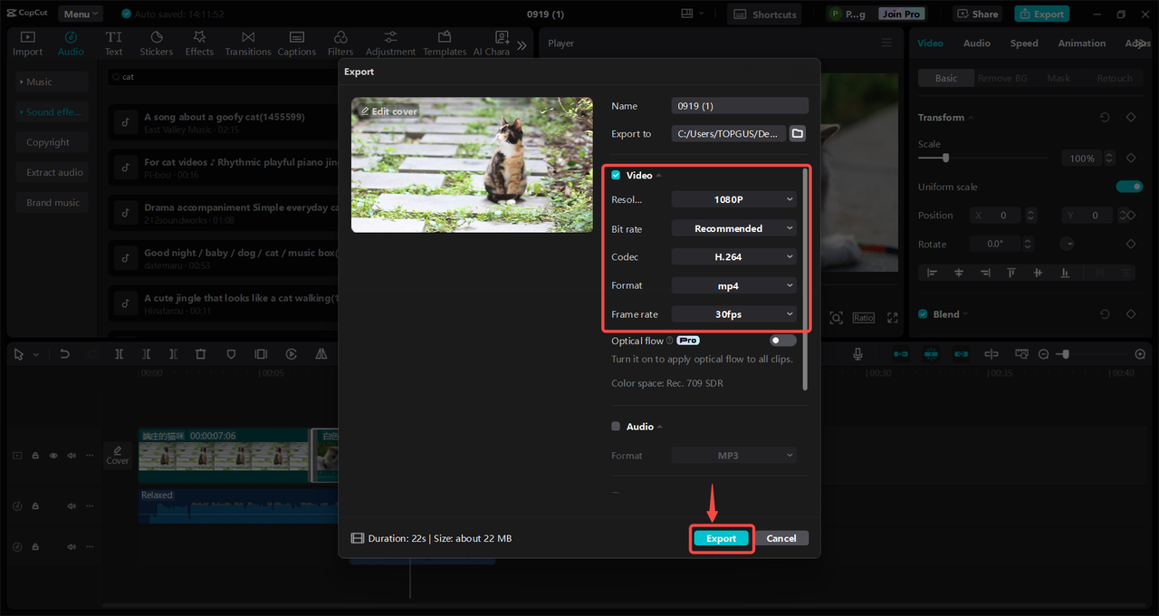 Export and share