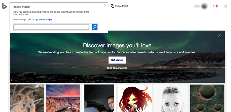 Interface of BING - the perfect way to search video through image