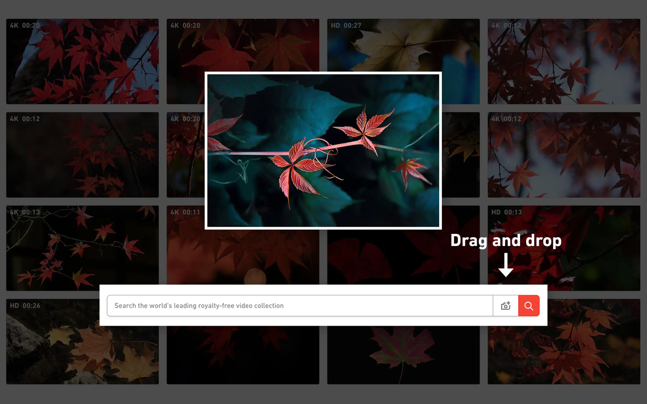 Interface of Shutterstock - a quick way to search video by picture