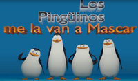 los pingüinos de madagascar