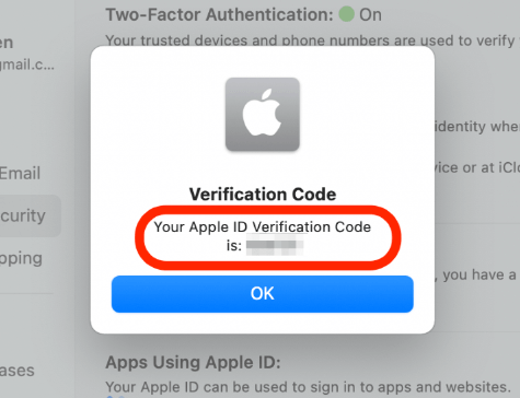 enter apple id verification code