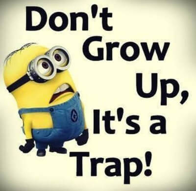 classic minion meme