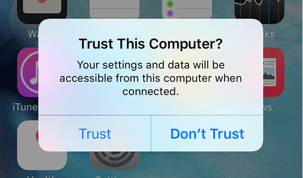 click trust this computer