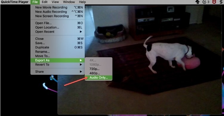 extract audio quicktime