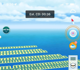 ipogo cooldown timer not working