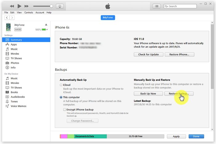 Restore iPhone to Factory Settings 