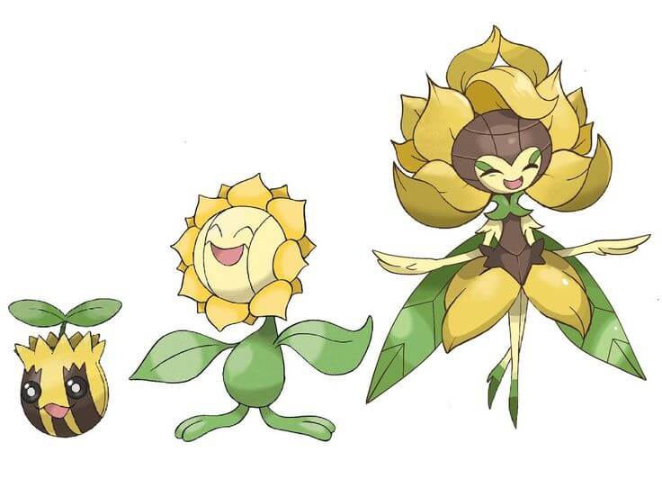 rosebud pokemon sunflora
