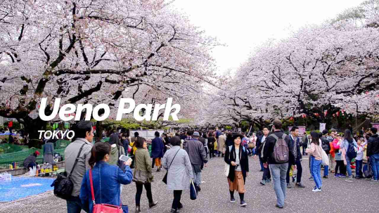 japan pokemon go coordinates ueno park tokyo