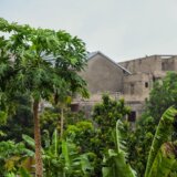 The Bundibugyo Virus Outbreak: A New Ebola Challenge in the DRC