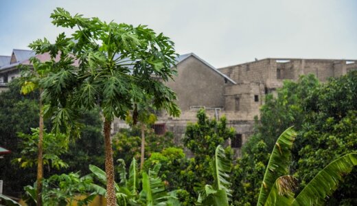 The Bundibugyo Virus Outbreak: A New Ebola Challenge in the DRC